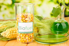 Long Common biofuel availability